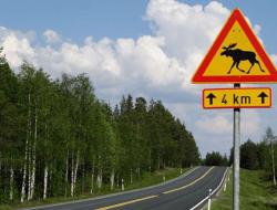 Правила дорожного движения в финляндии Дорожные знаки финляндии на русском языке